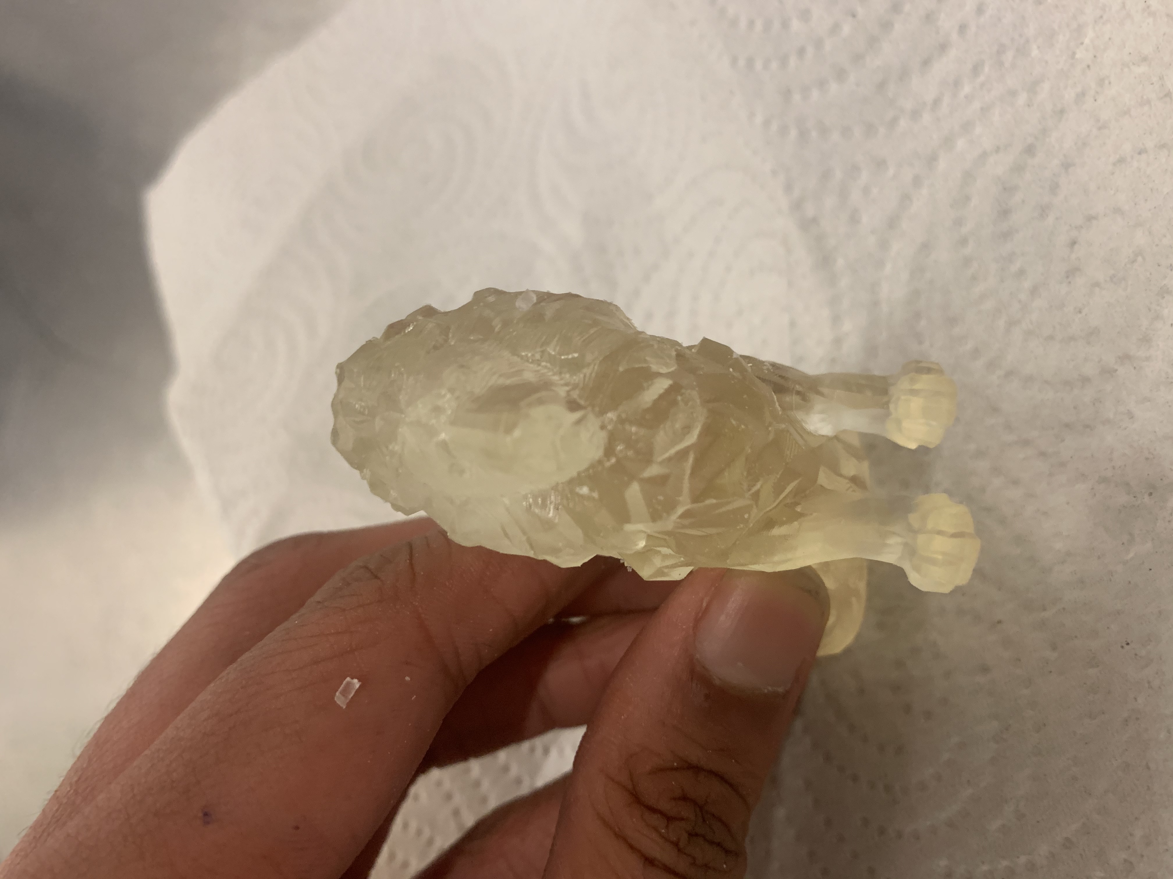Lion Print